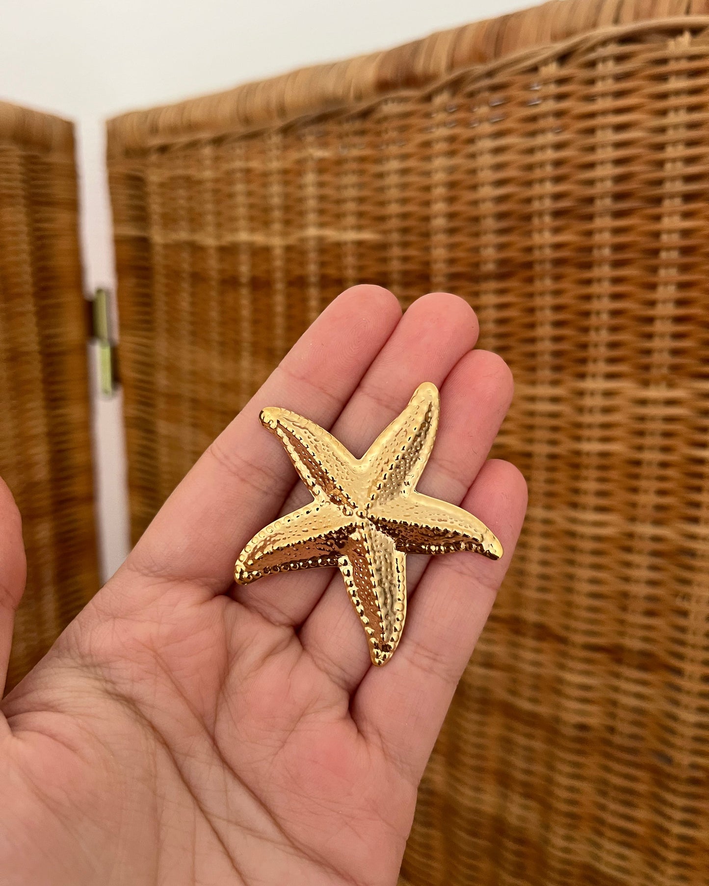 Etoile Broche Pins