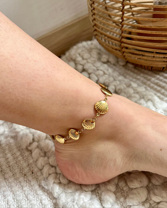 Bracelet de cheville coquillage STAR