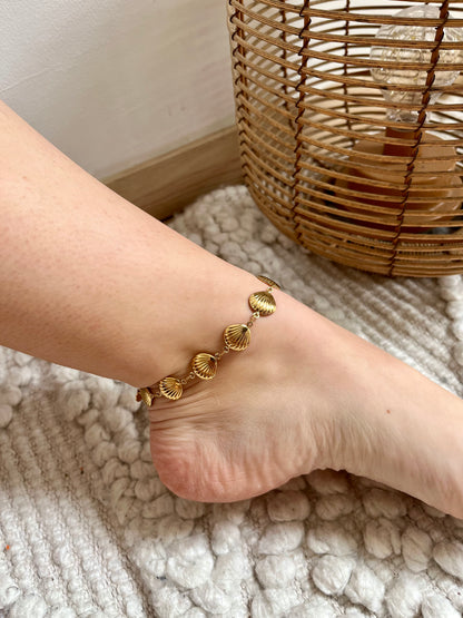 Bracelet de cheville coquillage STAR